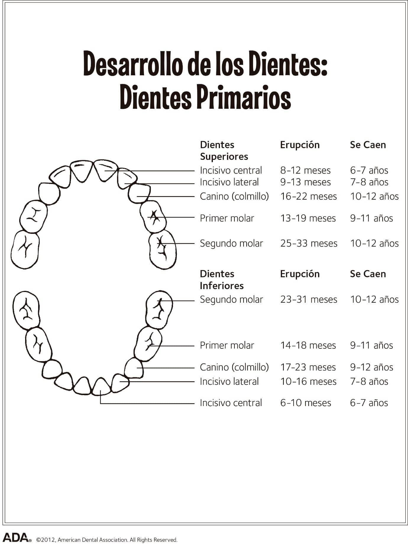 tabla de cepillado dental